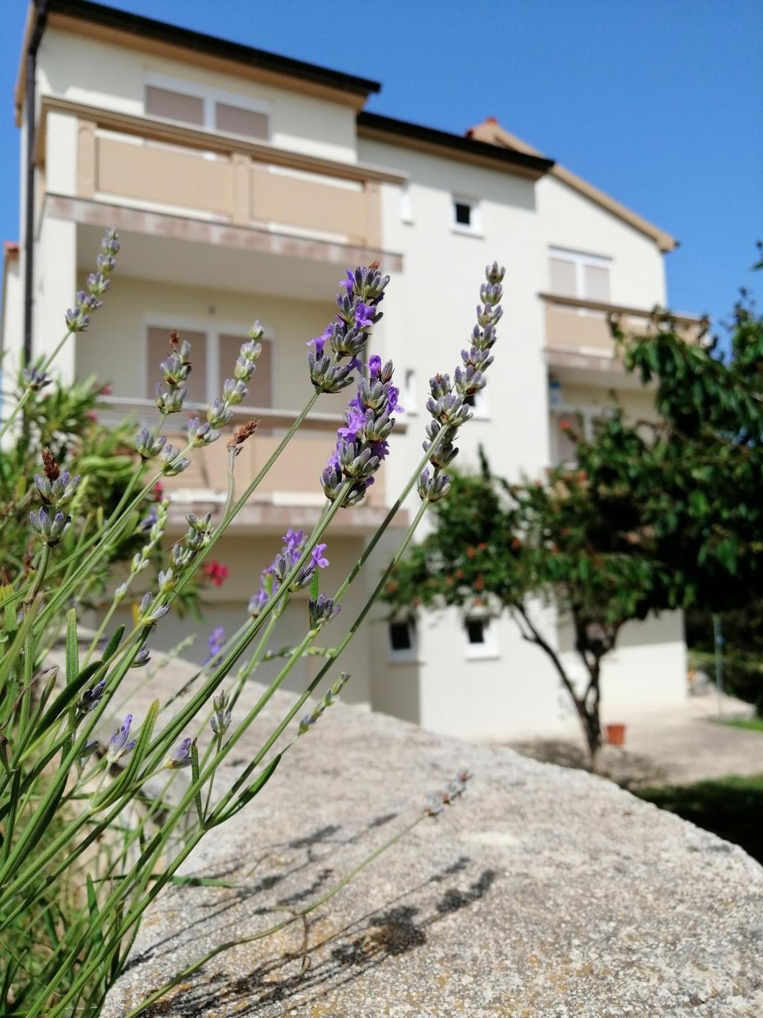 Apartments Monika Nin Exterior foto